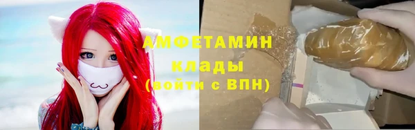 амф Няндома