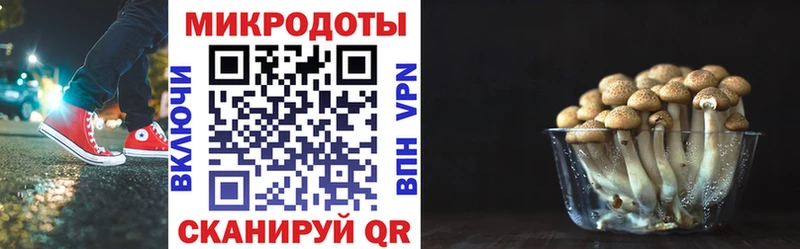 магазин продажи   Сретенск  дарк нет официальный сайт  Галлюциногенные грибы Psilocybine cubensis 